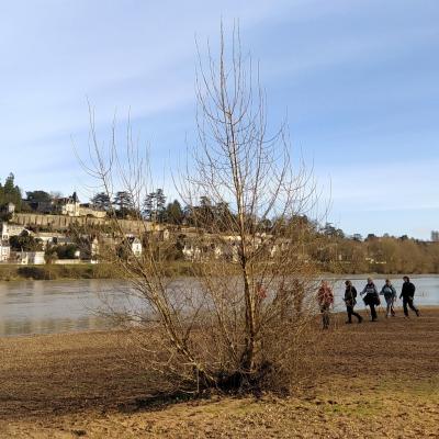 2025-02-26 Ile de la Métairie, quelques photos prises en fin de séance