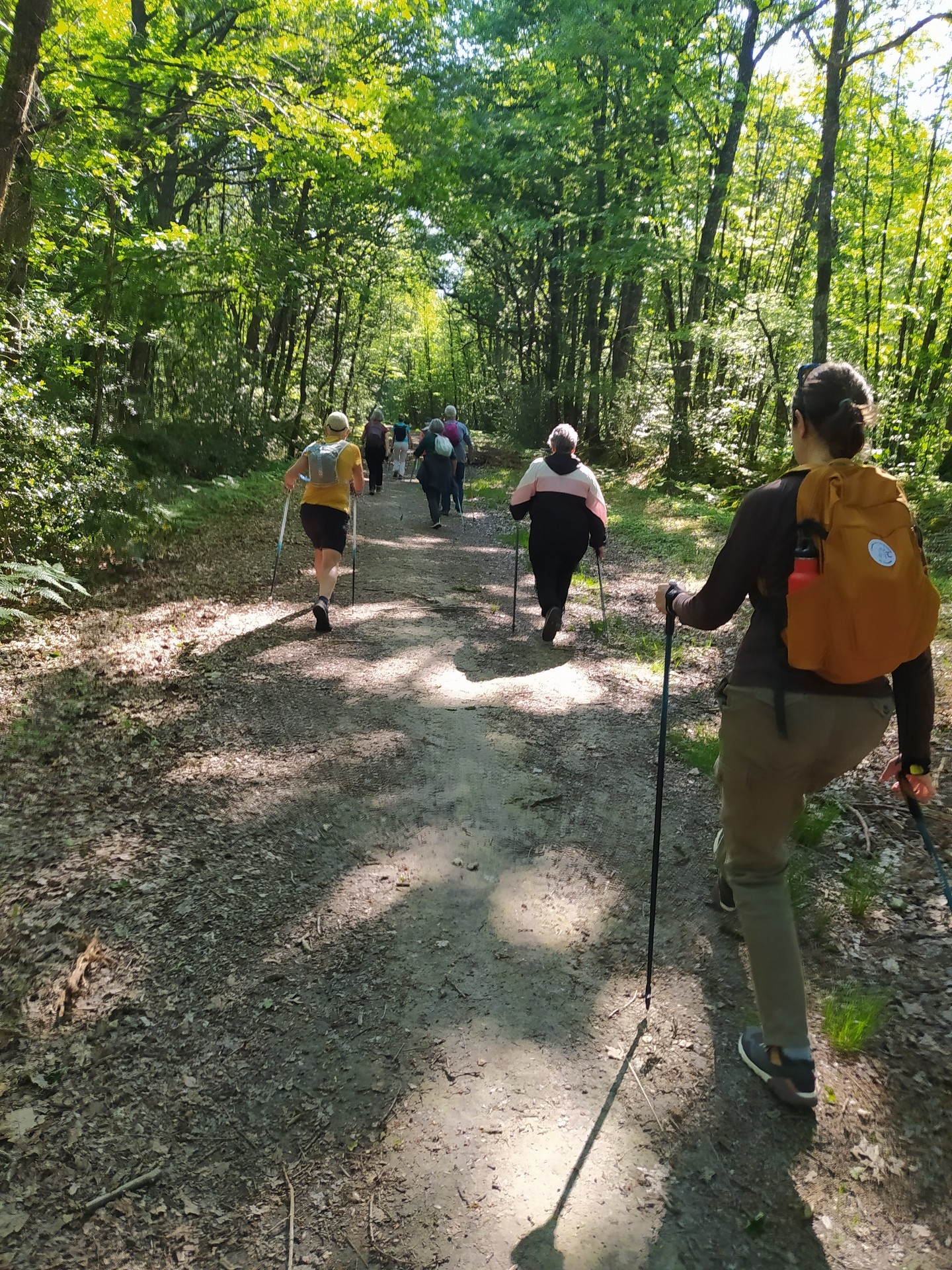 Dans le bois avec le soleil, c'est génial