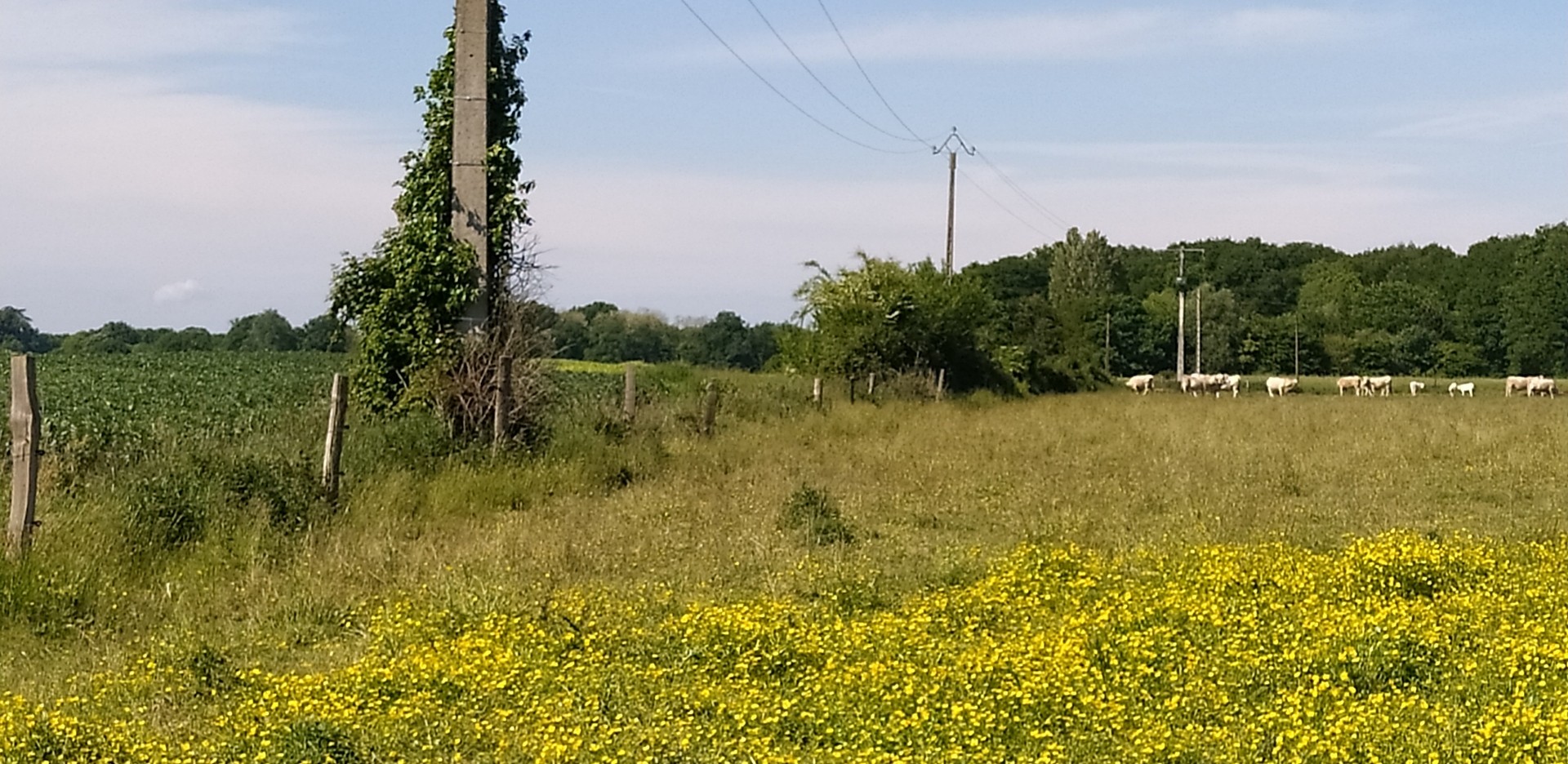 Séance réalisée en pleine campagne, preuve à l'appui !