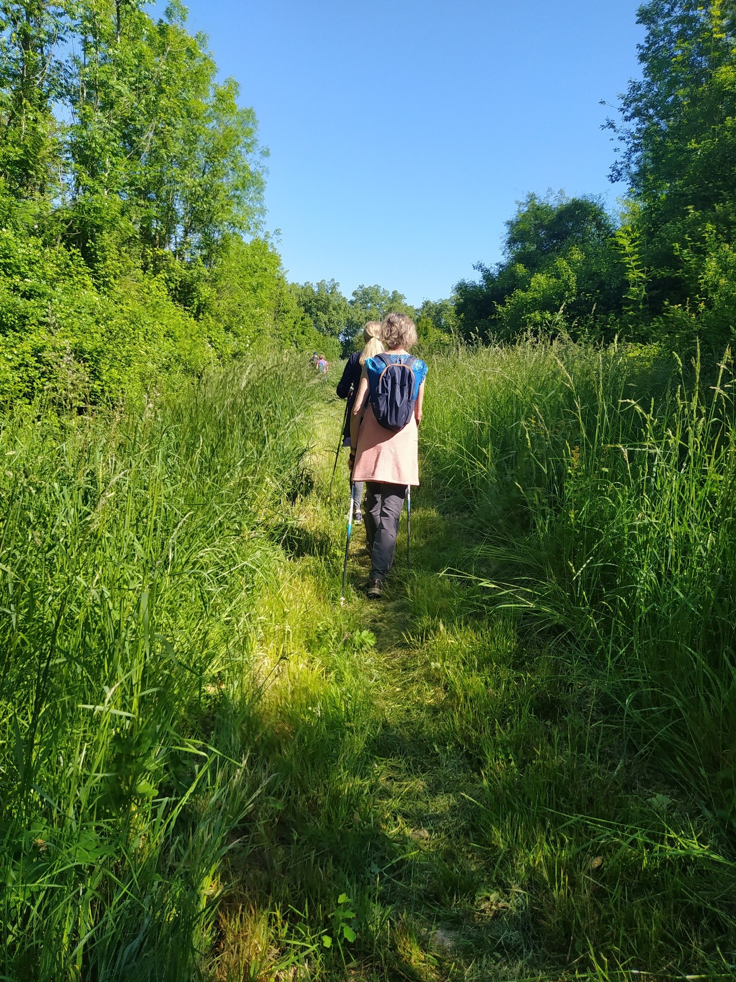 Dans la pampa sur le retour