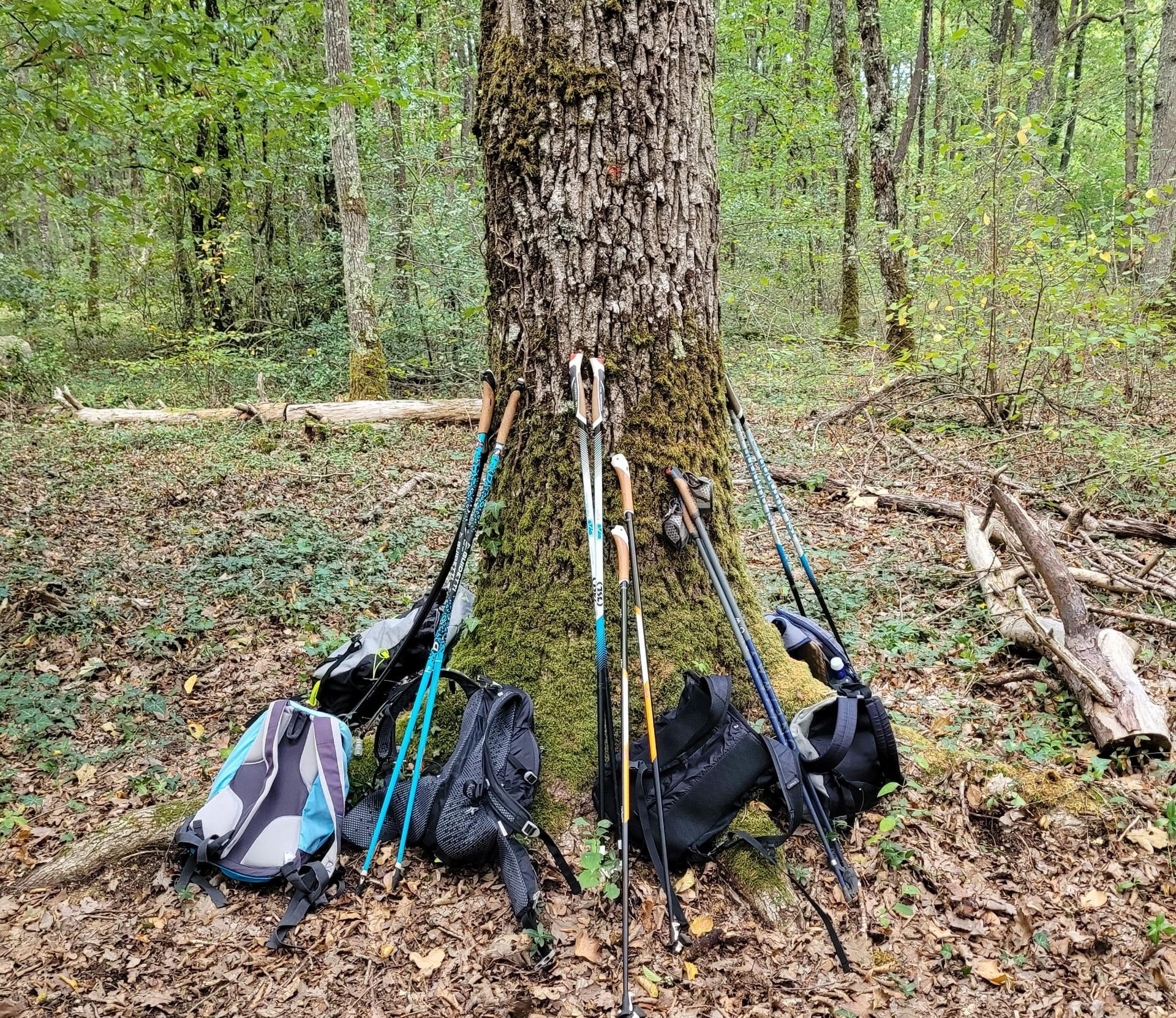 Pose pour les sacs à dos !!