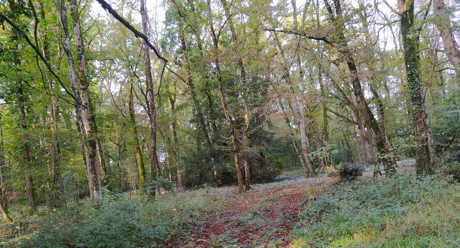 Plaisir du paysage
