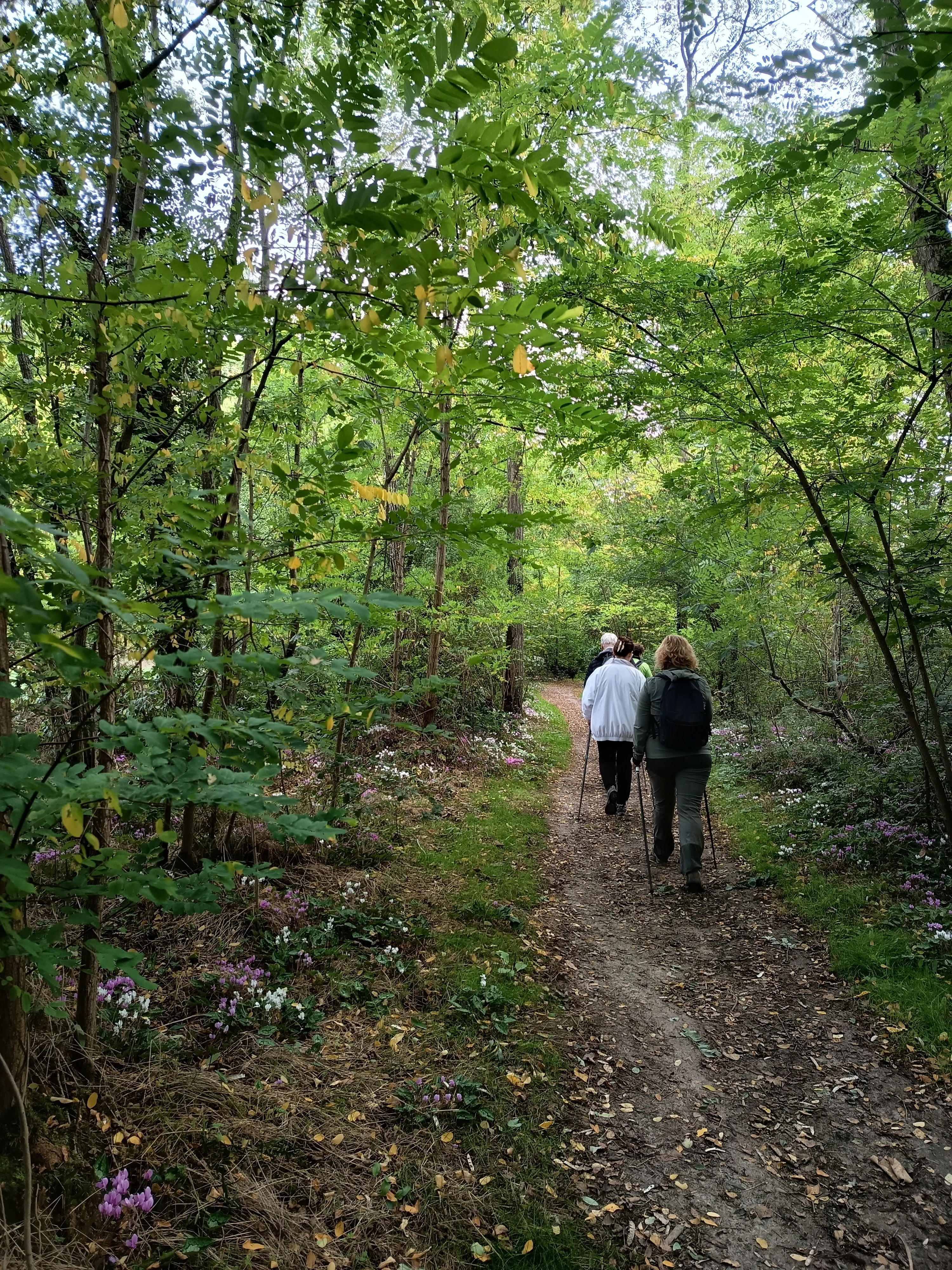Marcher Nordique dans cet environnement est un régal