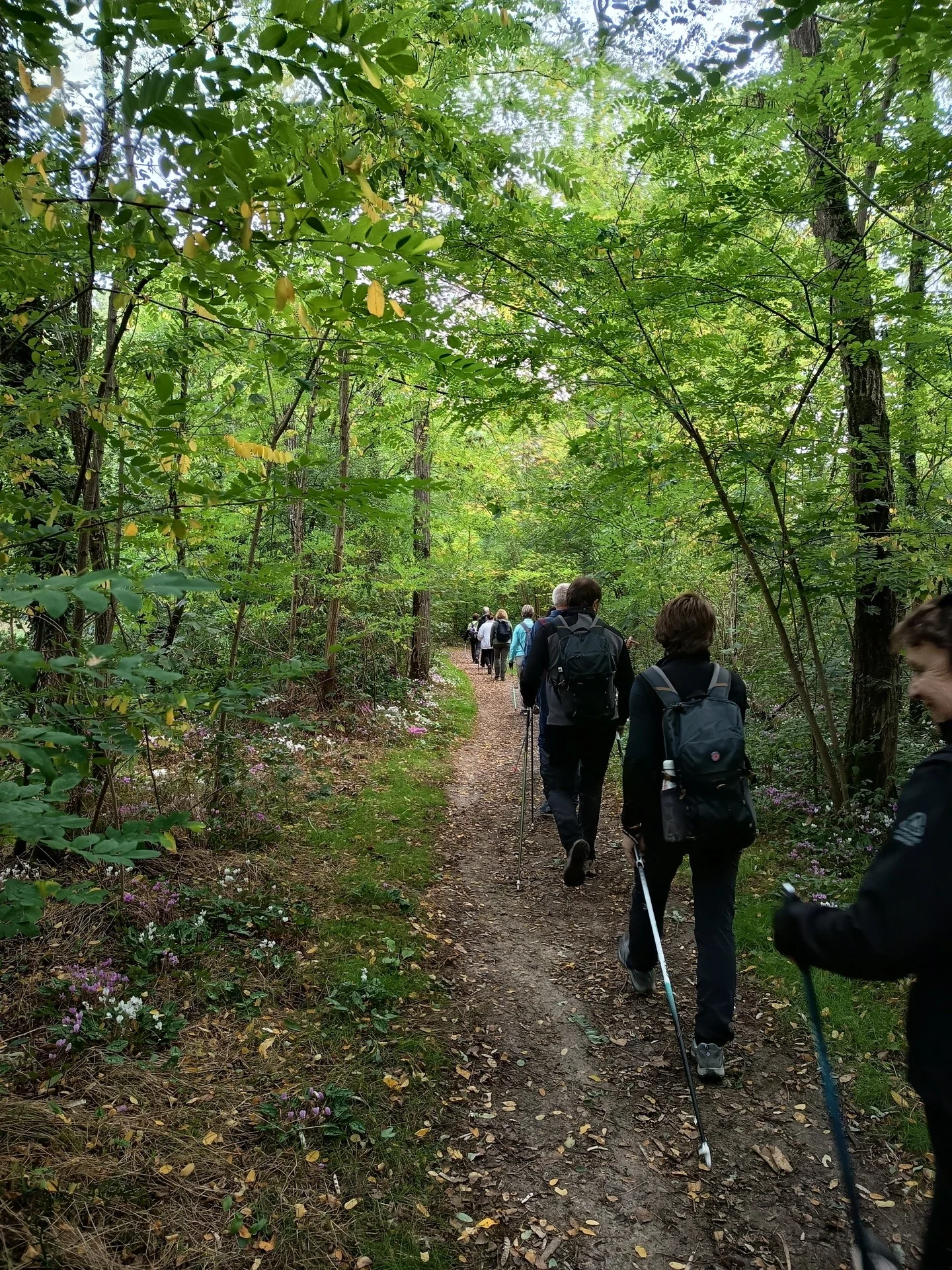 Déjà sur le chemin du retour