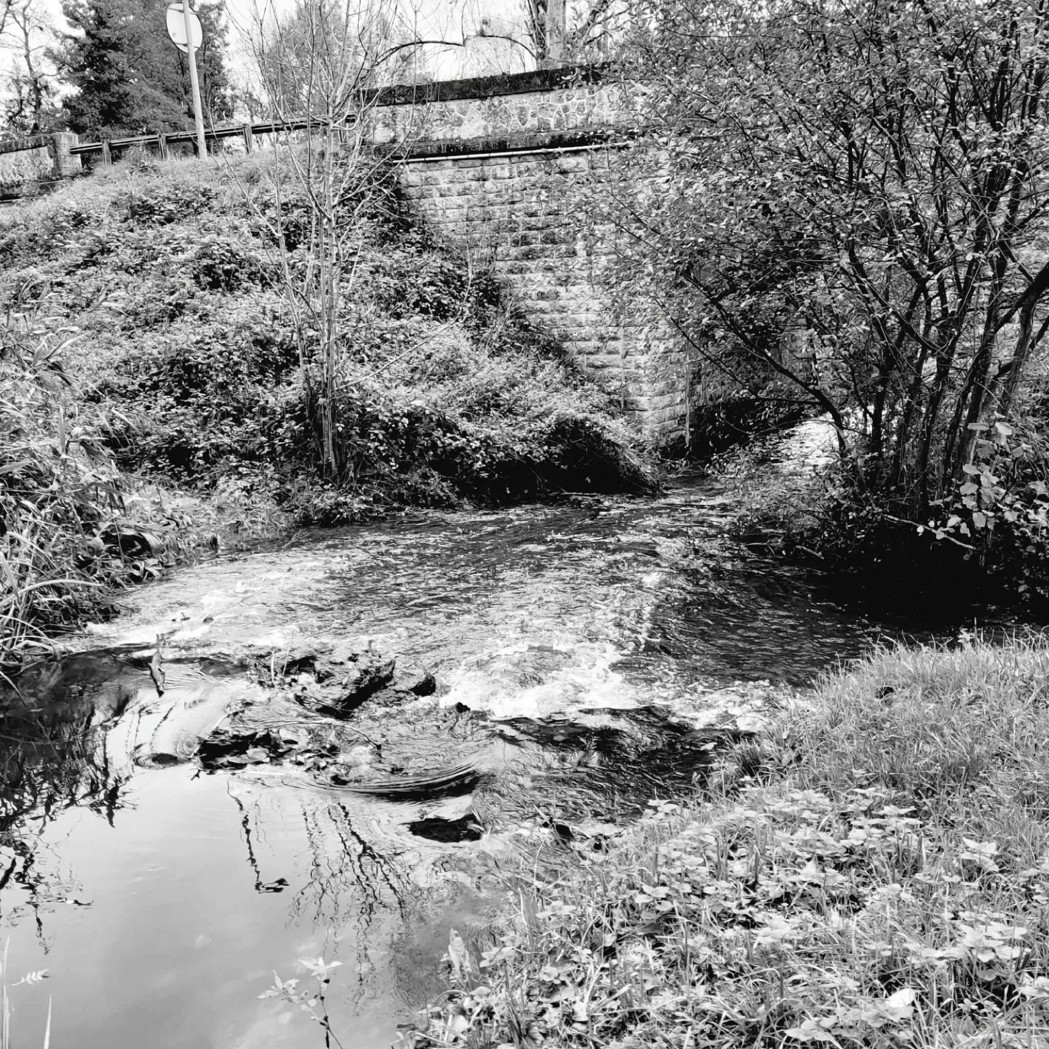 Pour le Plaisir d'une belle photo à l'ancienne !