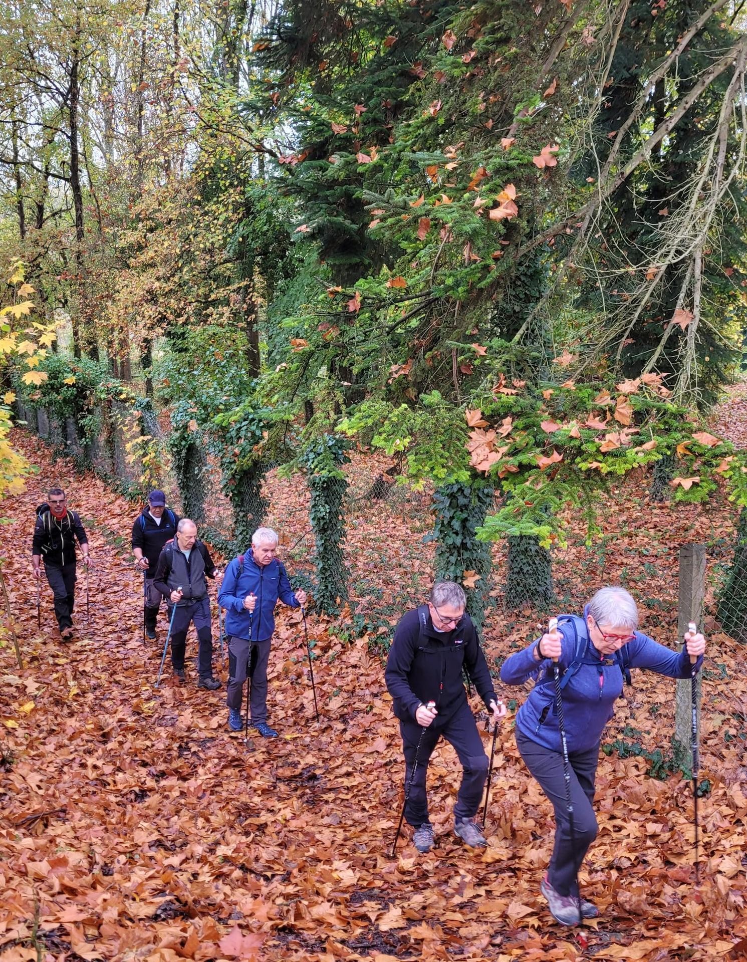 Les chemins de l'automne, c'est magnifique !