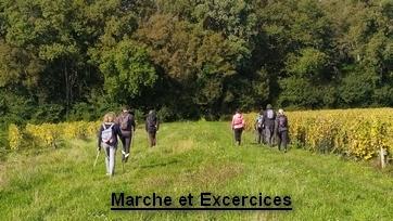 1728744544773 site page mn sante 1