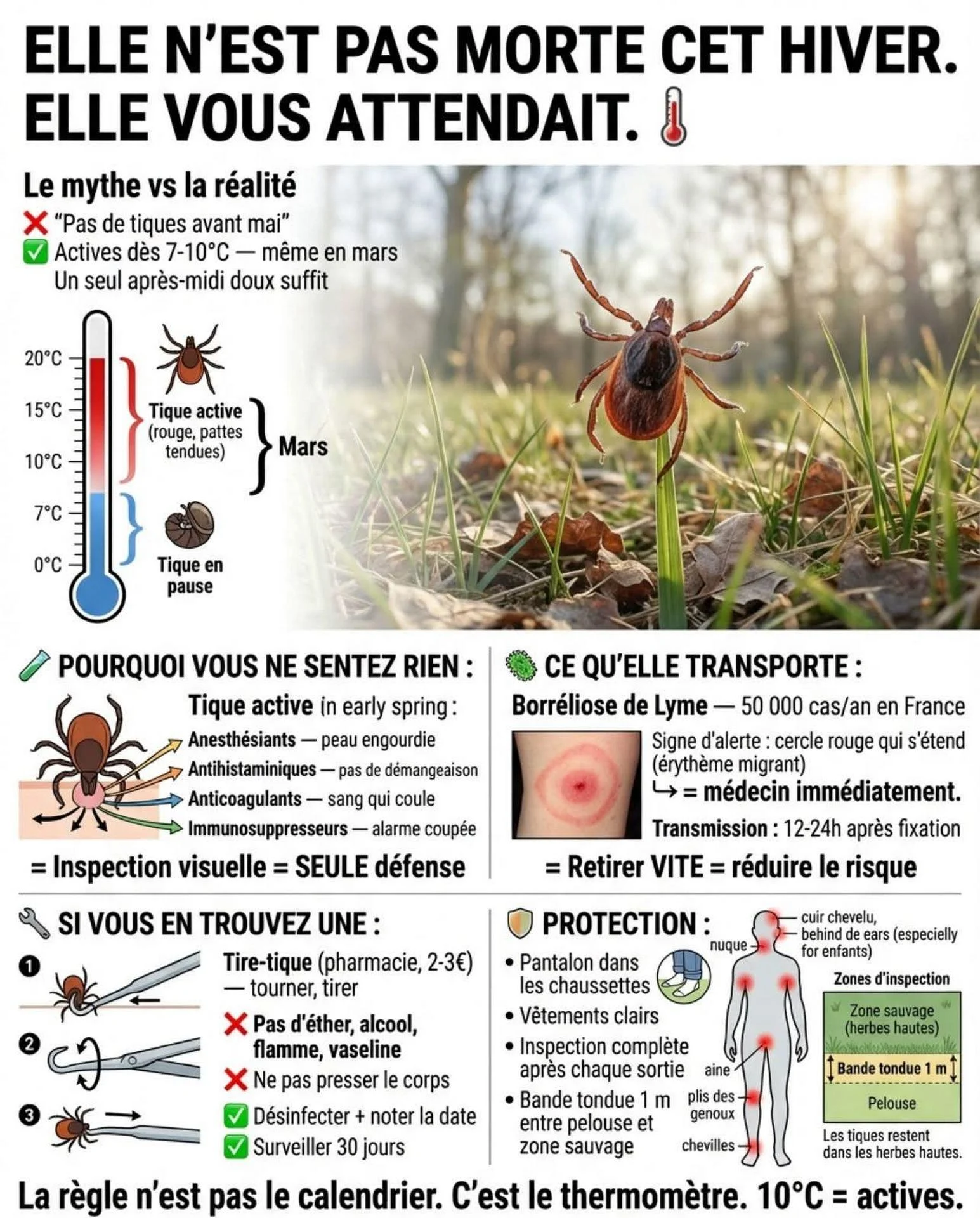 Fb img 1773498209136