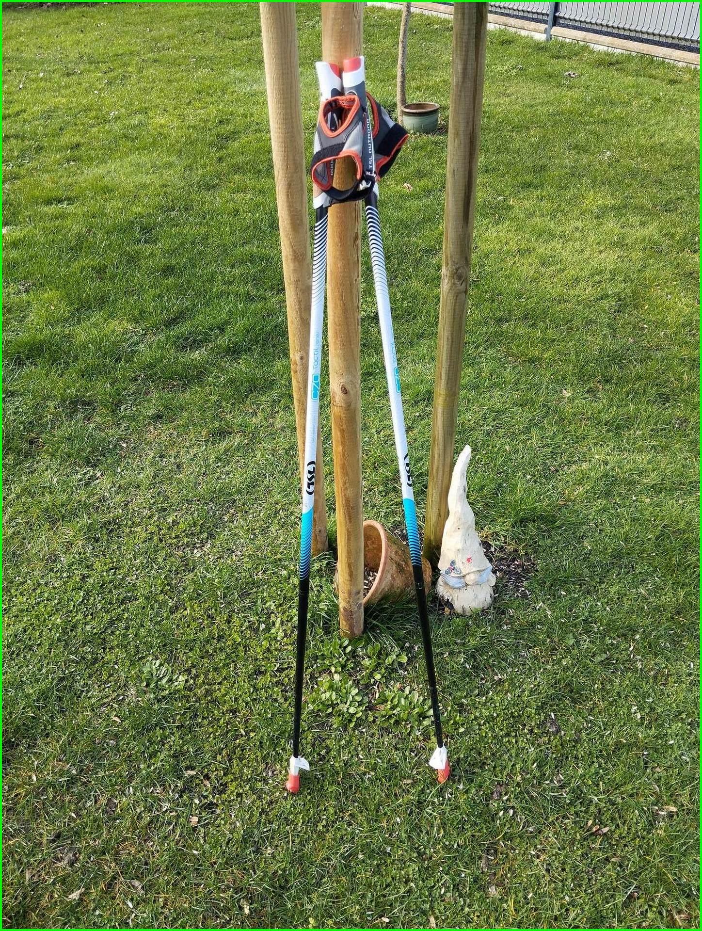 Img 20260203 144446 site mn